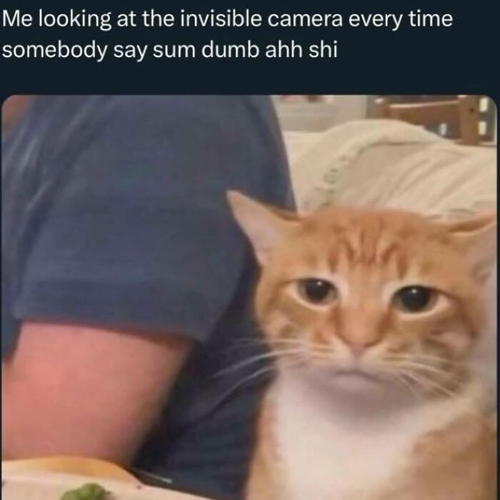 “Know Your Meme”: 80 Hilarious Memes That Might Bring Some Sunshine To Your Day