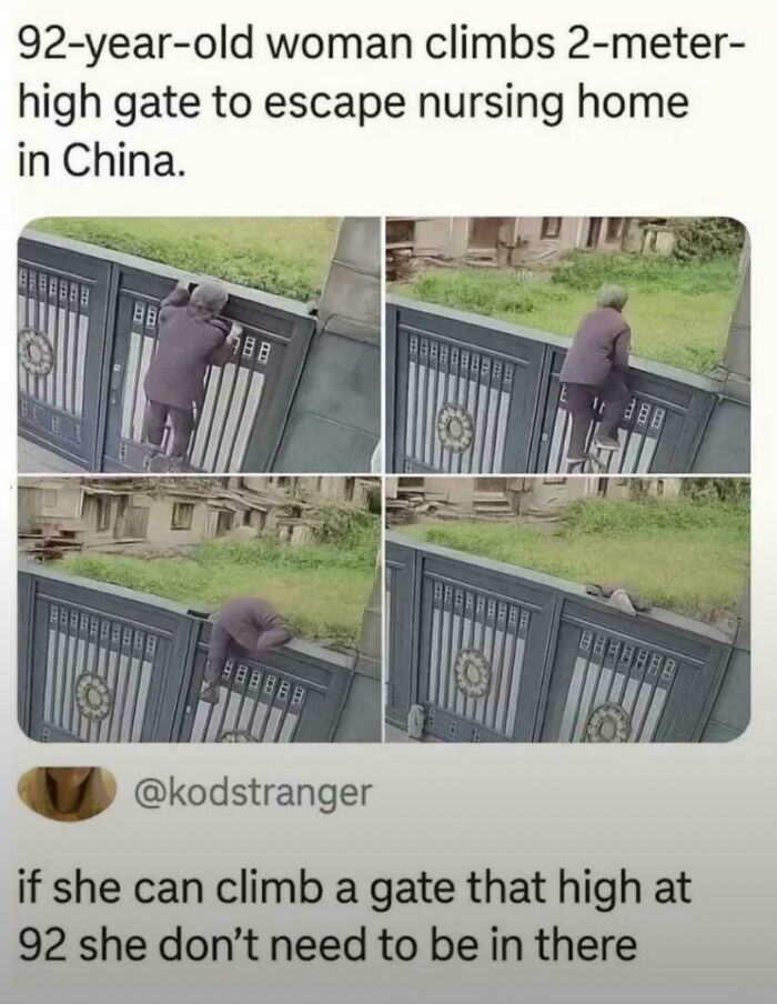 93 Chaotic Non-Political Tweets That Made The Internet Feel Fun Again (New Pics) 93 Chaotic Non-Political Tweets That Made The Internet Feel Fun Again (New Pics)