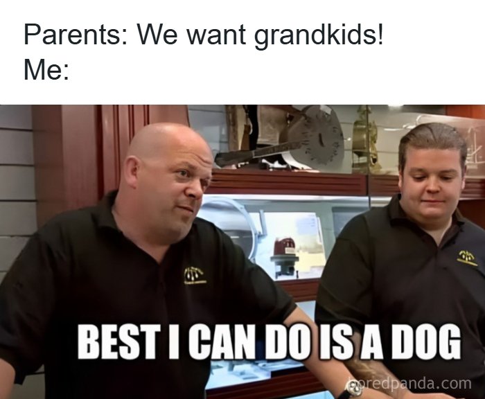 102 Hilarious Pics And Memes That Hit Too Close To Home If You Grew Up In Eastern Europe (New Pics)