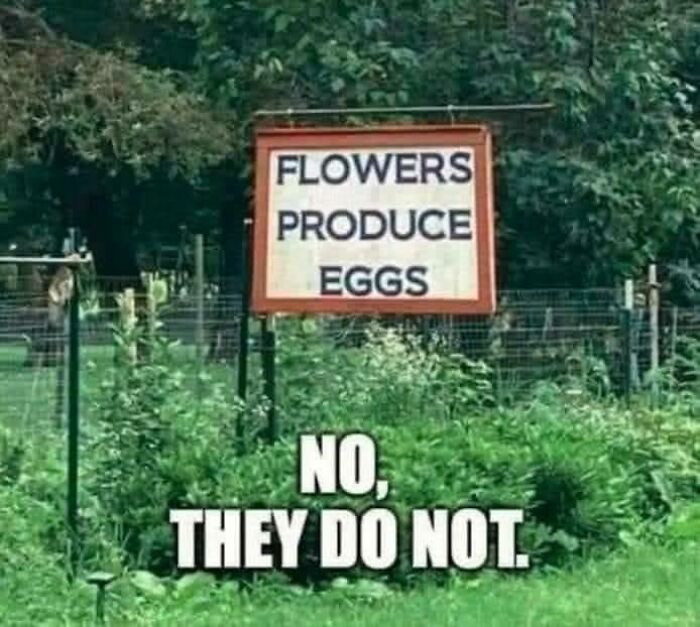 56 Ridiculously Stupid And Funny Signs That Might Confuse You Or Make You Laugh