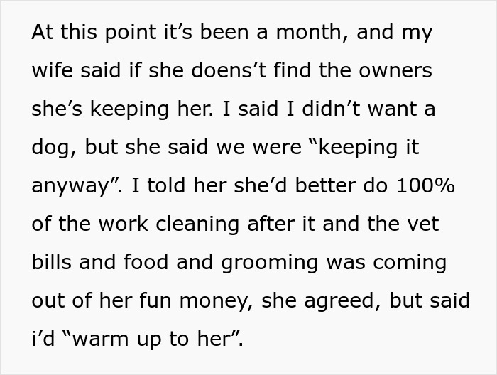 Wife Brings Home Stray Dog Against Hubby&rsquo;s Wishes, Mad When He Refuses To Play Fetch With The Mop