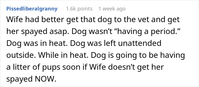 Wife Brings Home Stray Dog Against Hubby&rsquo;s Wishes, Mad When He Refuses To Play Fetch With The Mop