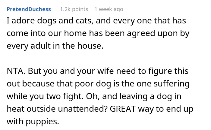 Wife Brings Home Stray Dog Against Hubby&rsquo;s Wishes, Mad When He Refuses To Play Fetch With The Mop