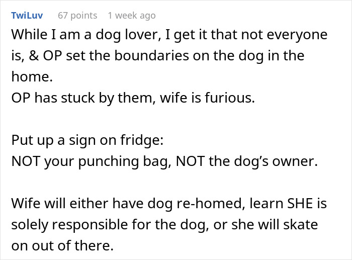 Wife Brings Home Stray Dog Against Hubby&rsquo;s Wishes, Mad When He Refuses To Play Fetch With The Mop