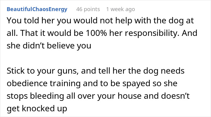 Wife Brings Home Stray Dog Against Hubby&rsquo;s Wishes, Mad When He Refuses To Play Fetch With The Mop