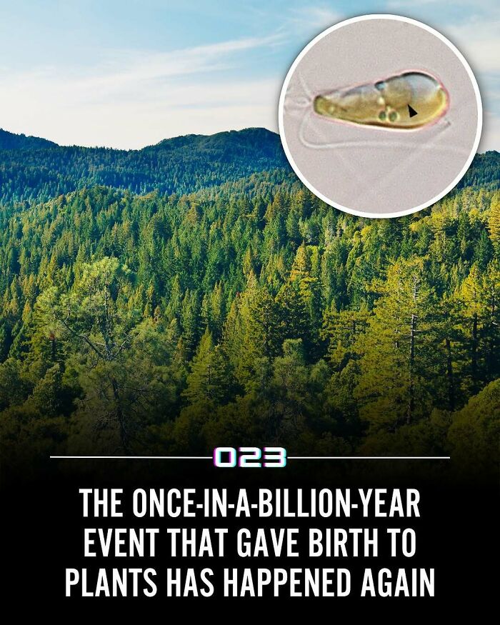 “Positivity Recommended”: 92 Wholesome Facts That Might Bring Some Sunshine To Your Day