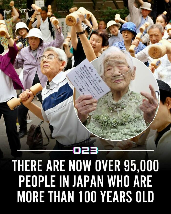 “Positivity Recommended”: 92 Wholesome Facts That Might Bring Some Sunshine To Your Day