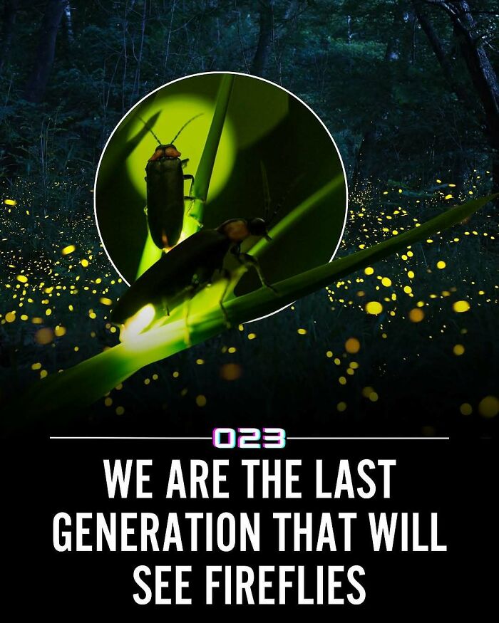 “Positivity Recommended”: 92 Wholesome Facts That Might Bring Some Sunshine To Your Day