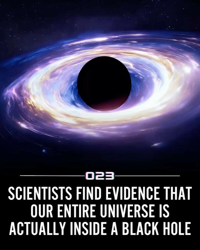 “Positivity Recommended”: 92 Wholesome Facts That Might Bring Some Sunshine To Your Day