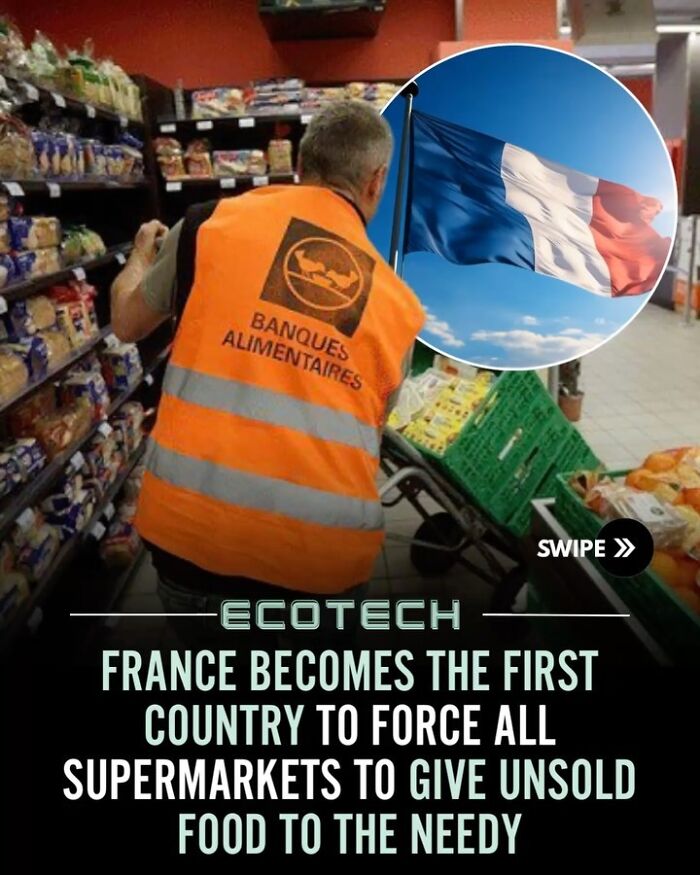 “Positivity Recommended”: 92 Wholesome Facts That Might Bring Some Sunshine To Your Day