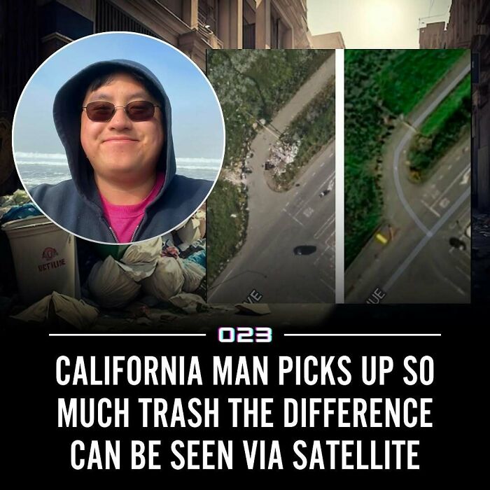 “Positivity Recommended”: 92 Wholesome Facts That Might Bring Some Sunshine To Your Day