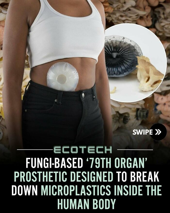 “Positivity Recommended”: 92 Wholesome Facts That Might Bring Some Sunshine To Your Day