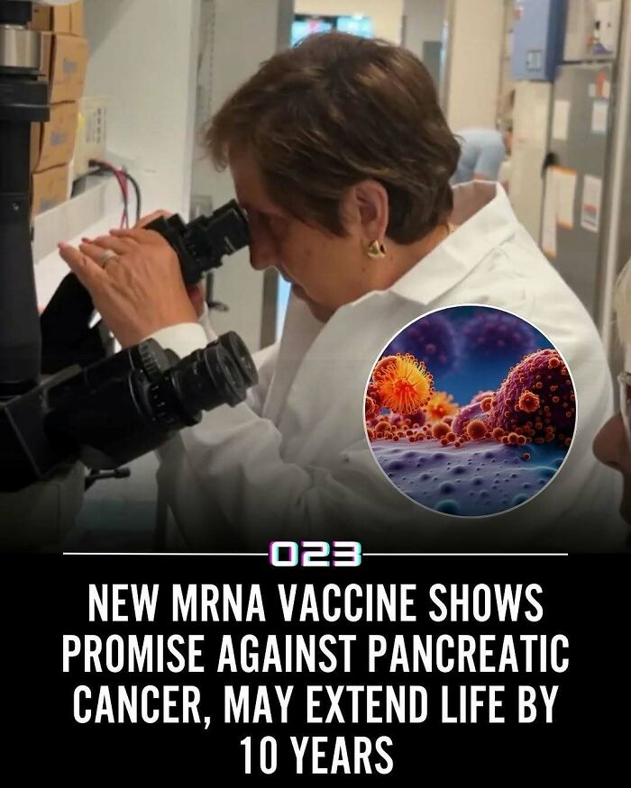 “Positivity Recommended”: 92 Wholesome Facts That Might Bring Some Sunshine To Your Day