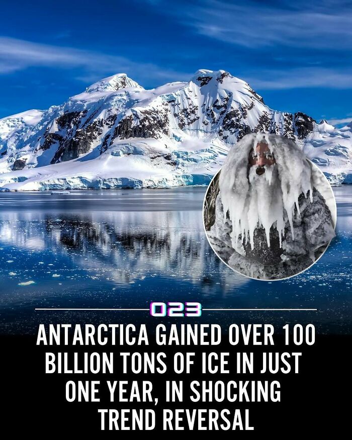 “Positivity Recommended”: 92 Wholesome Facts That Might Bring Some Sunshine To Your Day