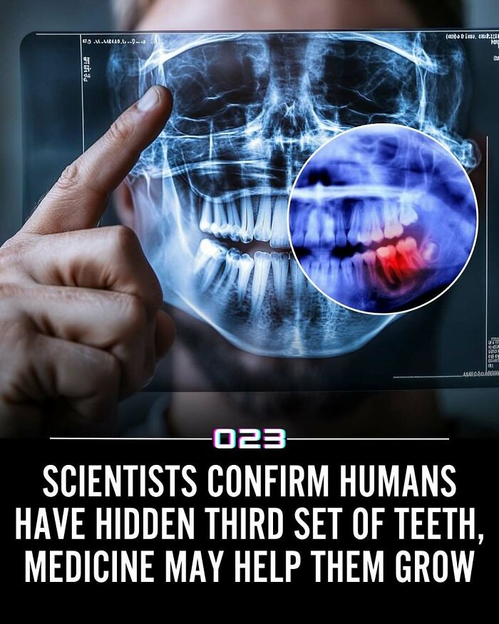 “Positivity Recommended”: 92 Wholesome Facts That Might Bring Some Sunshine To Your Day