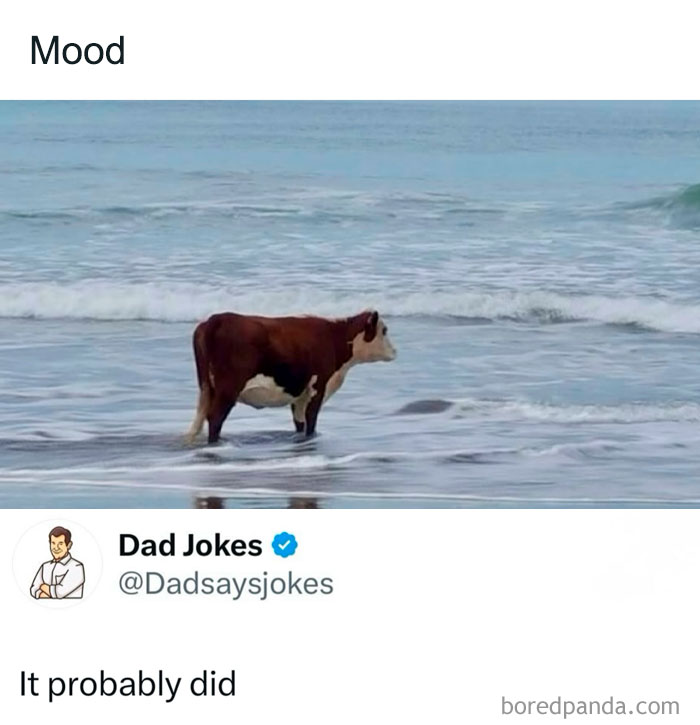 118 Of The Funniest Dad Jokes From This Account Dedicated Entirely To Them (New Pics)