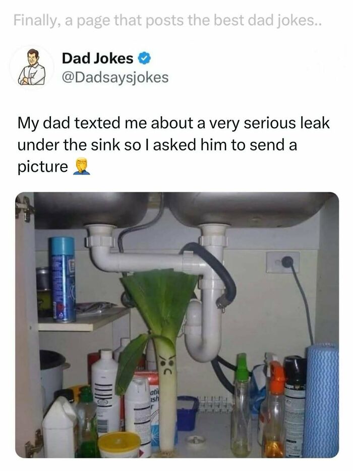 118 Of The Funniest Dad Jokes From This Account Dedicated Entirely To Them (New Pics)