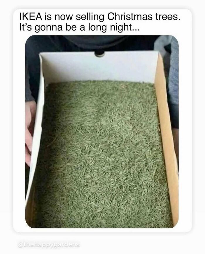 118 Of The Funniest Dad Jokes From This Account Dedicated Entirely To Them (New Pics)