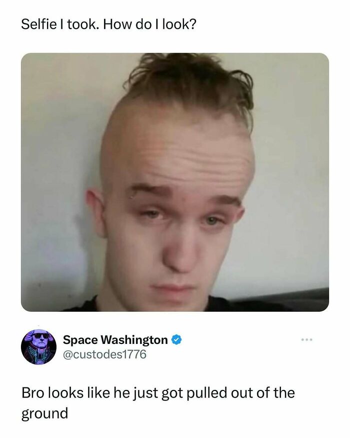 If Life Is Getting Too Boring, Here Are 40 Random Memes To Spice It Up (New Pics)