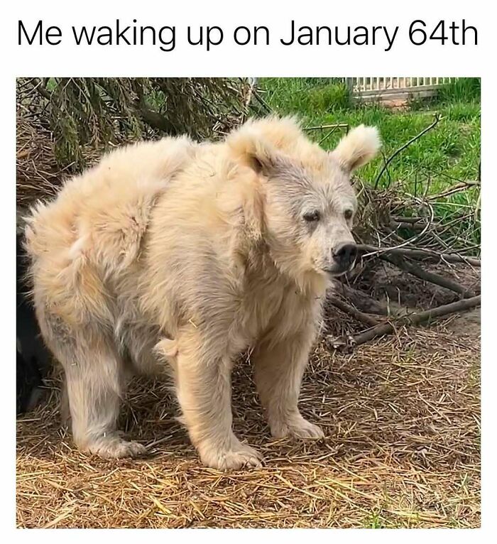 If Life Is Getting Too Boring, Here Are 40 Random Memes To Spice It Up (New Pics)