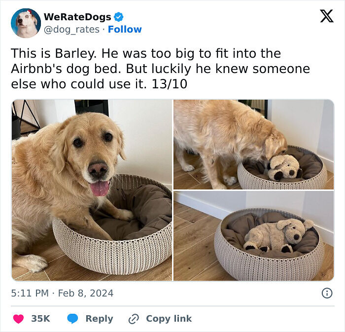 Dog Owners Share 78 Of The Cutest, Most Adorable, And Heartwarming Pics Of Their Pets