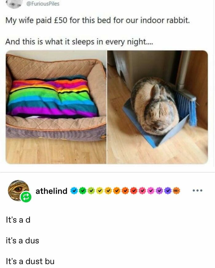 91 Times Animals Delighted Us With Their Antics In 2025, Resulting In These Impeccable Memes