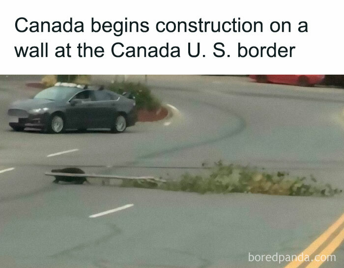 91 Times Animals Delighted Us With Their Antics In 2025, Resulting In These Impeccable Memes