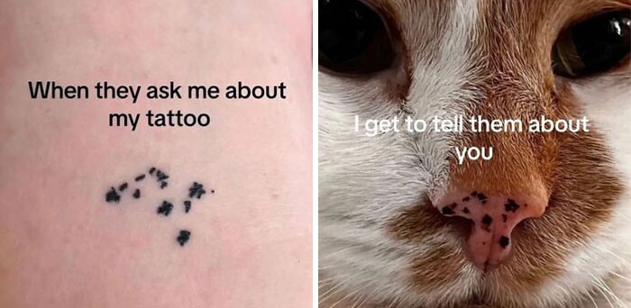 91 Times Animals Delighted Us With Their Antics In 2025, Resulting In These Impeccable Memes