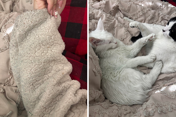 10 Of The Worst Stories In 2025 About Men Being Men And Women Suffering Because Of It