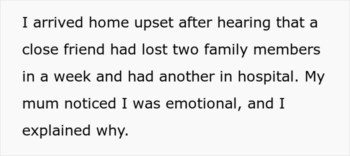 Woman Hosts ‘Casual’ Christmas, Her Toxic Mother-In-Law Gets Offended And Ruins Everything