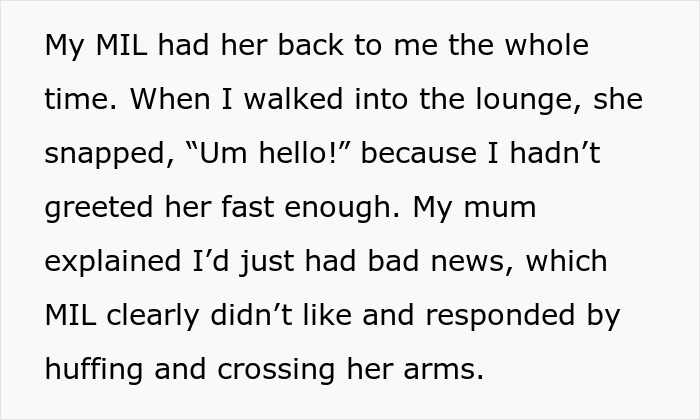 Woman Hosts ‘Casual’ Christmas, Her Toxic Mother-In-Law Gets Offended And Ruins Everything