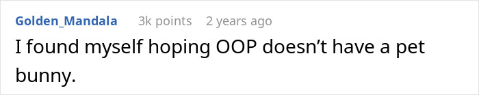 Adopted Sister’s “Little Crush” On Bro Takes A Dramatic Turn, Pregnant SIL Bans Her From Baby Shower