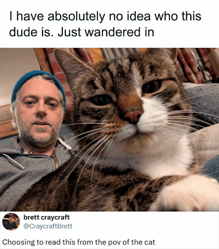 If Cat Memes Are Your Happy Place, These 80 Hilarious Posts Are Calling Your Name