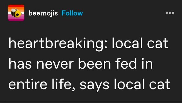 If Cat Memes Are Your Happy Place, These 80 Hilarious Posts Are Calling Your Name