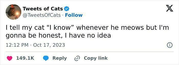 If Cat Memes Are Your Happy Place, These 80 Hilarious Posts Are Calling Your Name