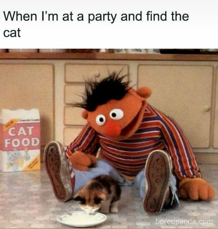 If Cat Memes Are Your Happy Place, These 80 Hilarious Posts Are Calling Your Name