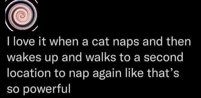 If Cat Memes Are Your Happy Place, These 80 Hilarious Posts Are Calling Your Name