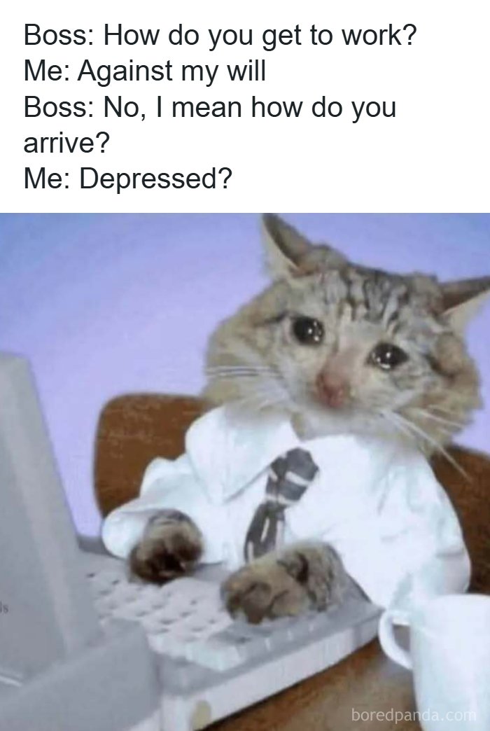 110 Memes To Help You Handle Reality With Humor (New Pics)