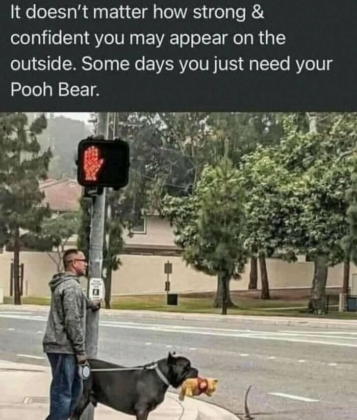 110 Memes To Help You Handle Reality With Humor (New Pics)