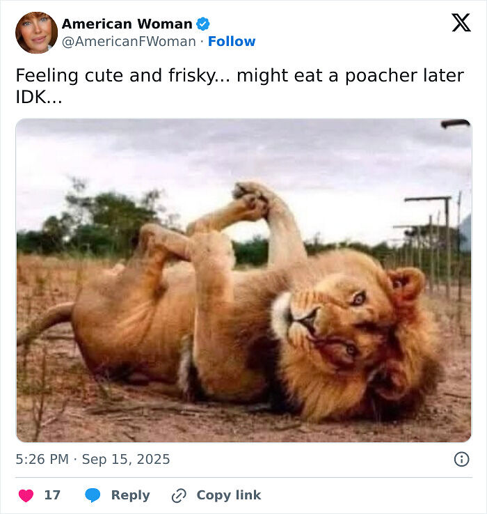 69 Cute And Sweet Animal Memes To Give You A Reason To Smile Today (New Pics) 69 Cute And Sweet Animal Memes To Give You A Reason To Smile Today (New Pics)