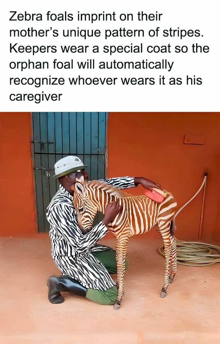 69 Cute And Sweet Animal Memes To Give You A Reason To Smile Today (New Pics) 69 Cute And Sweet Animal Memes To Give You A Reason To Smile Today (New Pics)