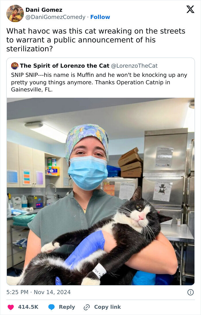 69 Cute And Sweet Animal Memes To Give You A Reason To Smile Today (New Pics) 69 Cute And Sweet Animal Memes To Give You A Reason To Smile Today (New Pics)