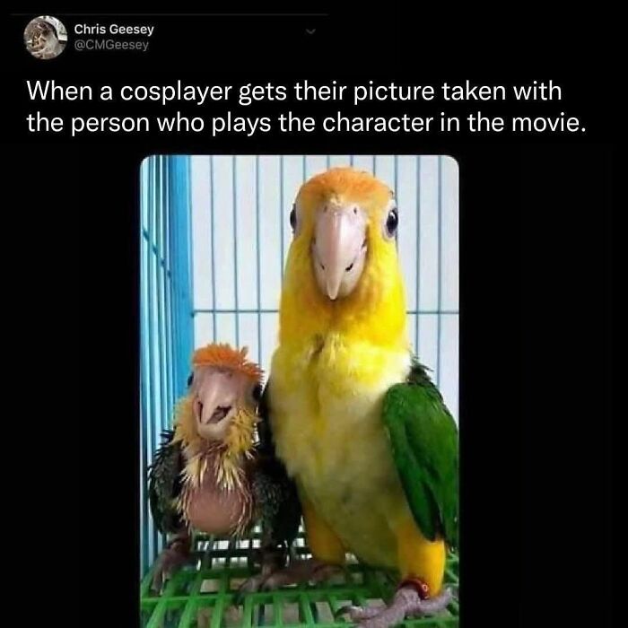 69 Cute And Sweet Animal Memes To Give You A Reason To Smile Today (New Pics) 69 Cute And Sweet Animal Memes To Give You A Reason To Smile Today (New Pics)