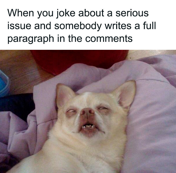 69 Cute And Sweet Animal Memes To Give You A Reason To Smile Today (New Pics) 69 Cute And Sweet Animal Memes To Give You A Reason To Smile Today (New Pics)