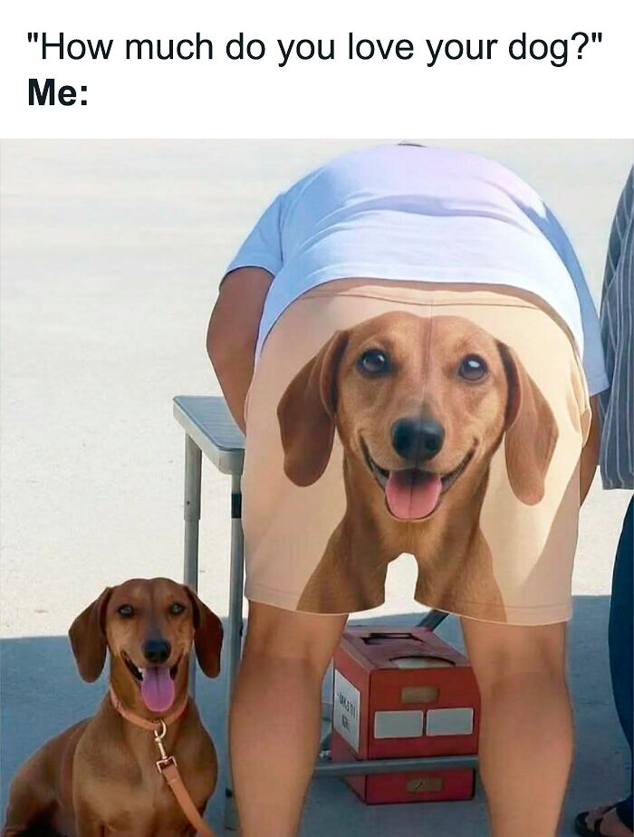 69 Cute And Sweet Animal Memes To Give You A Reason To Smile Today (New Pics) 69 Cute And Sweet Animal Memes To Give You A Reason To Smile Today (New Pics)