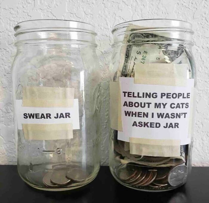 69 Cute And Sweet Animal Memes To Give You A Reason To Smile Today (New Pics) 69 Cute And Sweet Animal Memes To Give You A Reason To Smile Today (New Pics)