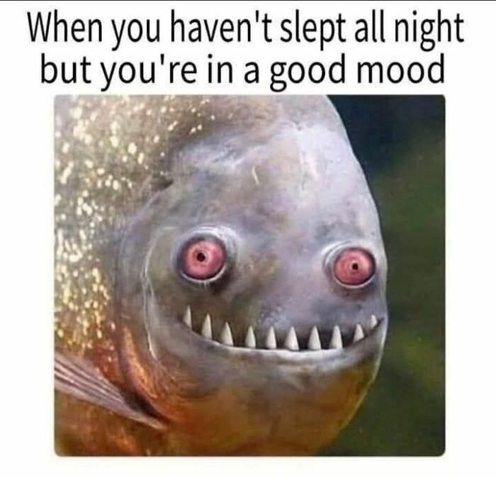 69 Cute And Sweet Animal Memes To Give You A Reason To Smile Today (New Pics) 69 Cute And Sweet Animal Memes To Give You A Reason To Smile Today (New Pics)