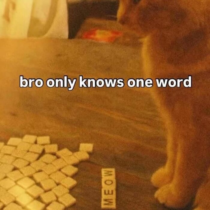 69 Cute And Sweet Animal Memes To Give You A Reason To Smile Today (New Pics) 69 Cute And Sweet Animal Memes To Give You A Reason To Smile Today (New Pics)