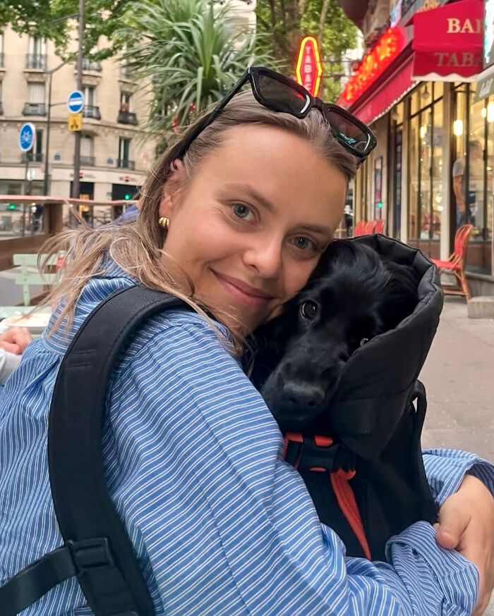 44 Adorable Photos Of Dogs In Backpacks Enjoying City Adventures