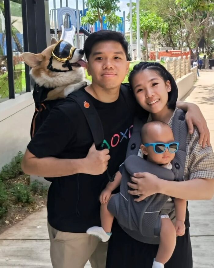 44 Adorable Photos Of Dogs In Backpacks Enjoying City Adventures